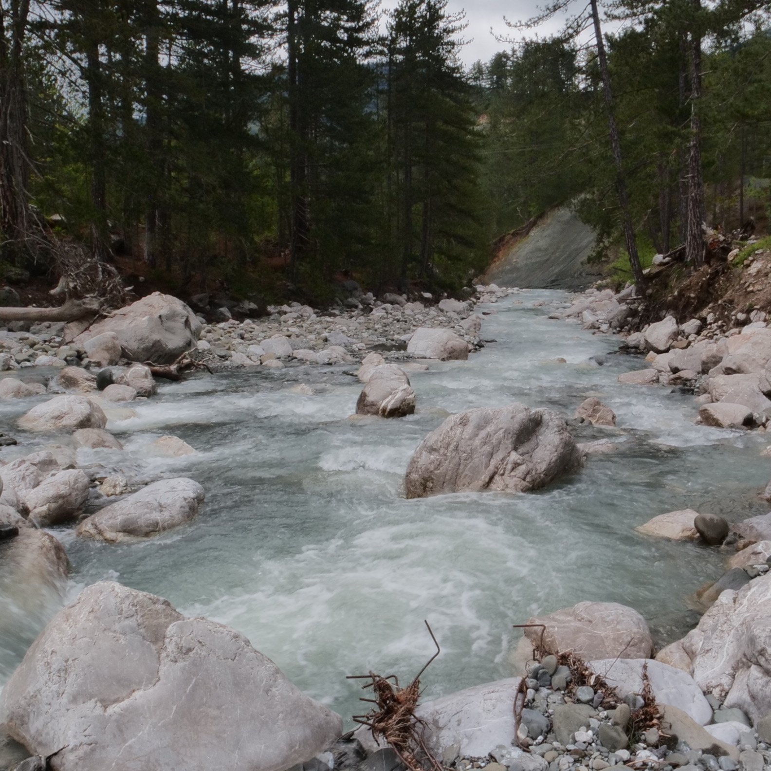 White water of the Aliakmon river rushing over boulders and a fallen tree trunk in a forest.